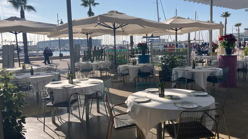 Terraza con sombrillas y palmeras frente al puerto